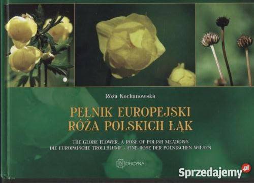 Pełnik Europejski Róża polskich łąk Szczecin