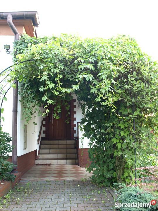 Dom na sprzedaż Piękny ogród asfalt Miasteczko Śląskie sprzedam