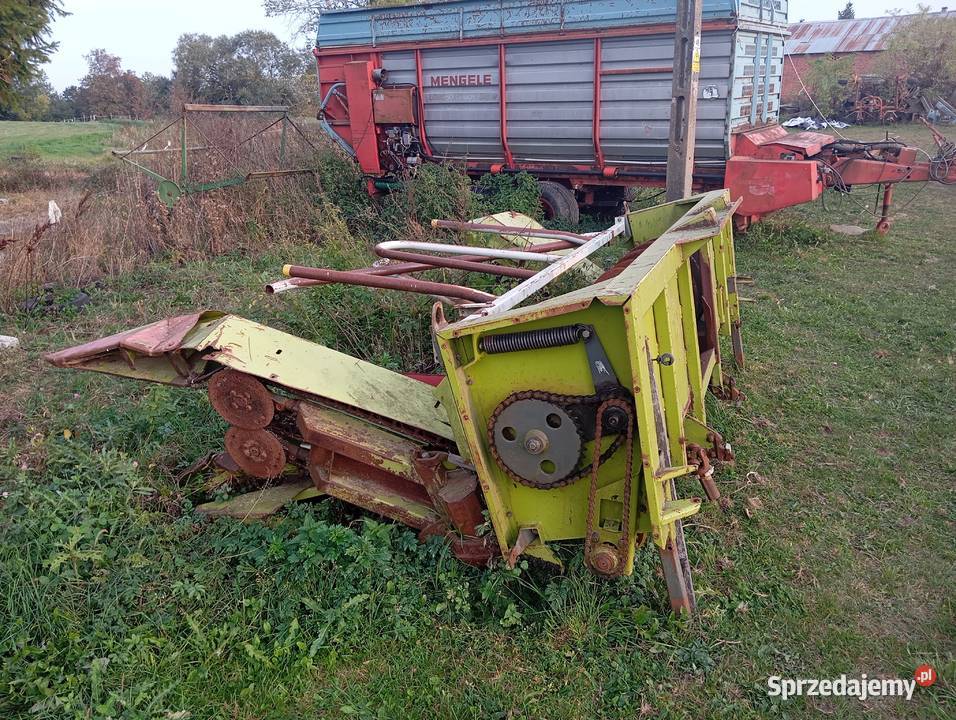 Sieczkarnia Claas Jaguar 695 LS Bargłów Kościelny