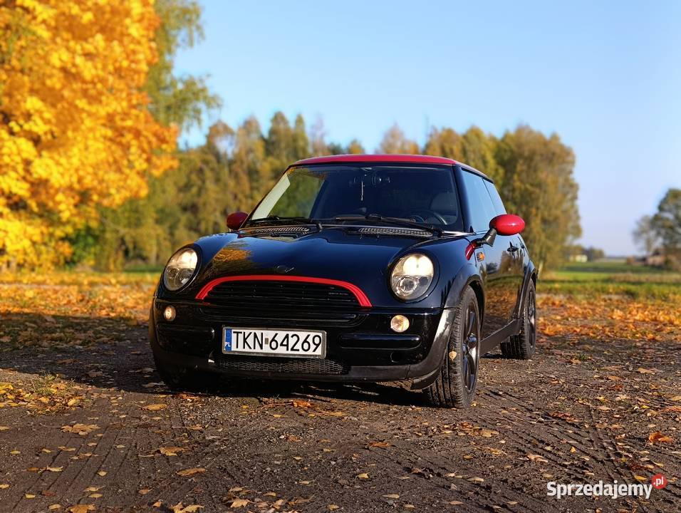Mini Cooper świętokrzyskie Gowarczów