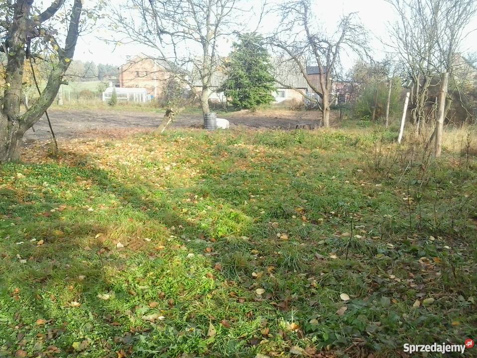 Dzialka 32000zl rolno siedliskowa Skoraczewo