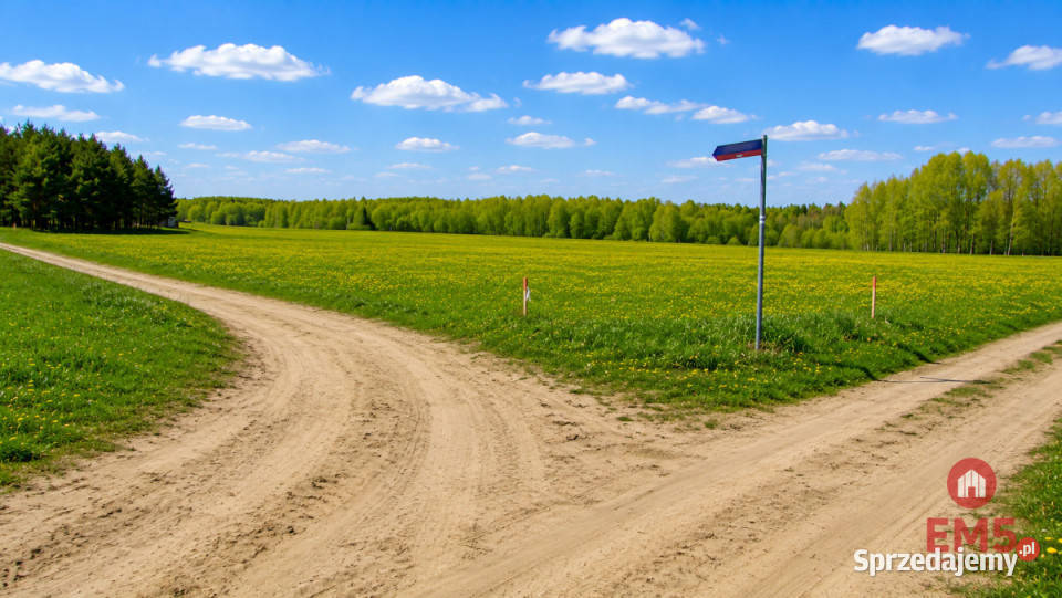 Działka 1000m2 Tołcze 1000m2 sprzedam