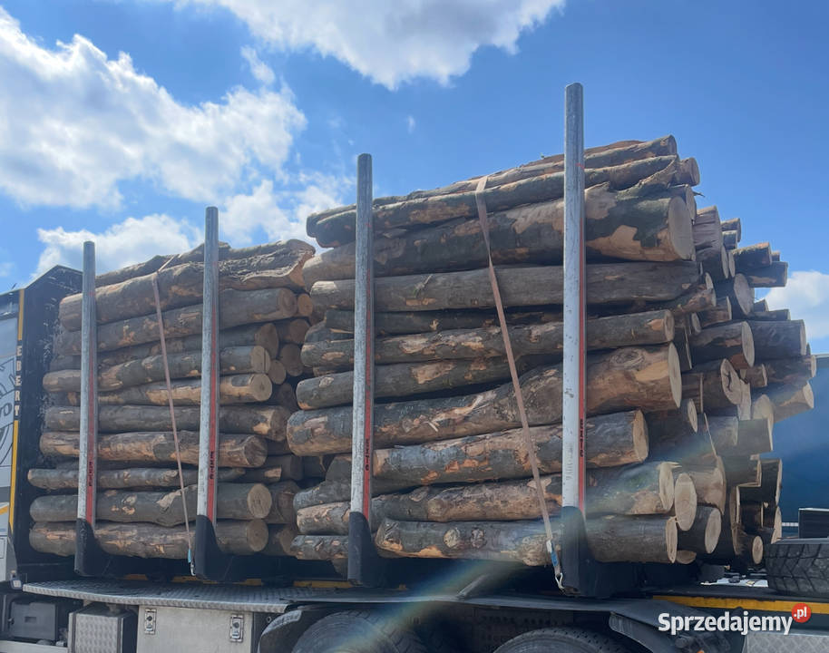 Drewno Opałowe tanio Opole