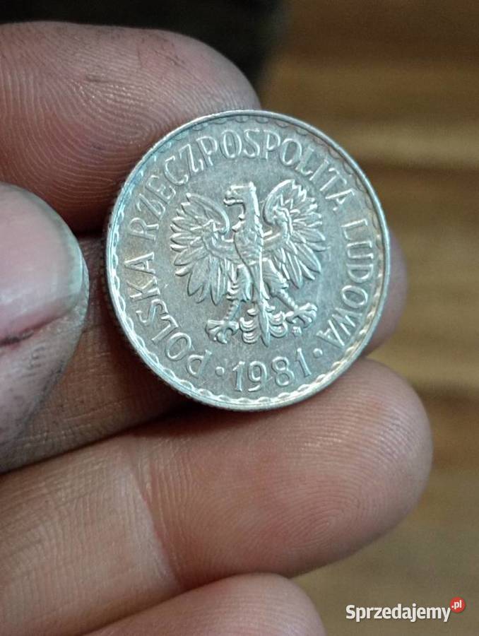 Sprzedam monete 1 zloty 1981r Chełm sprzedam
