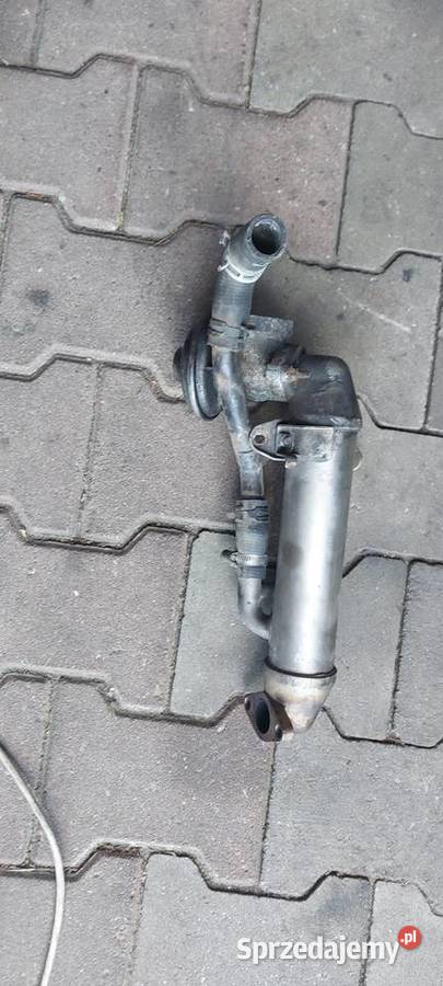 Chłodnica spalin EGR FORD MONDEO MK3 1C1Q9F464AD Szczecin sprzedam