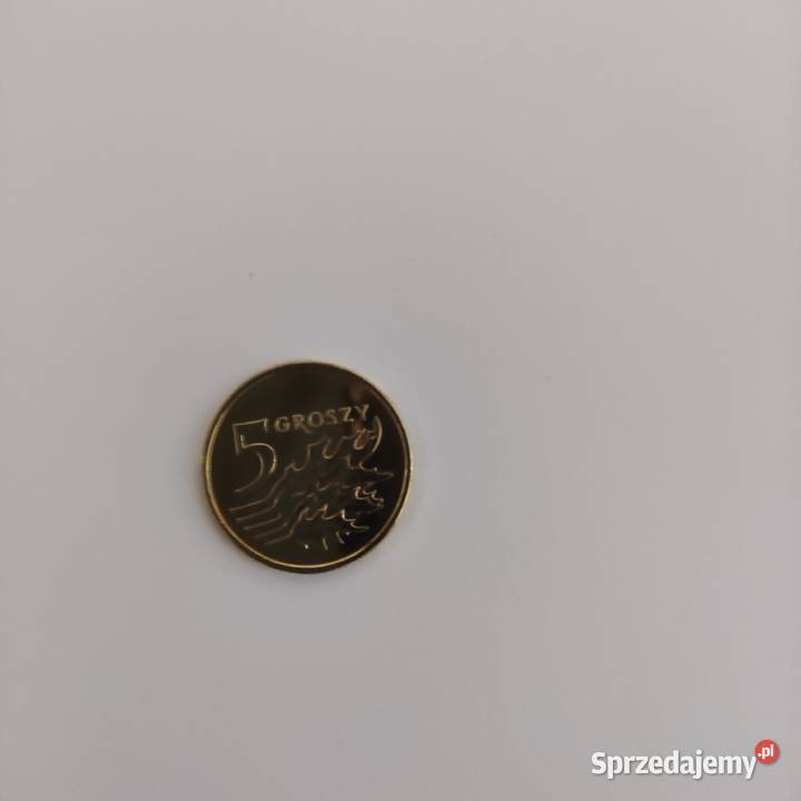 5 gr 2018 stan I Koronowo sprzedam