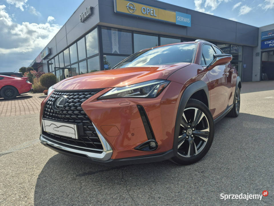 Lexus UX Giżycko