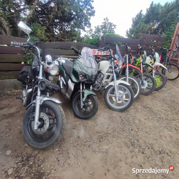 ROWER MTB1026 TERRAIN nowy WYPRZEDAZ GARAZOWA pozostałe wielkopolskie Września