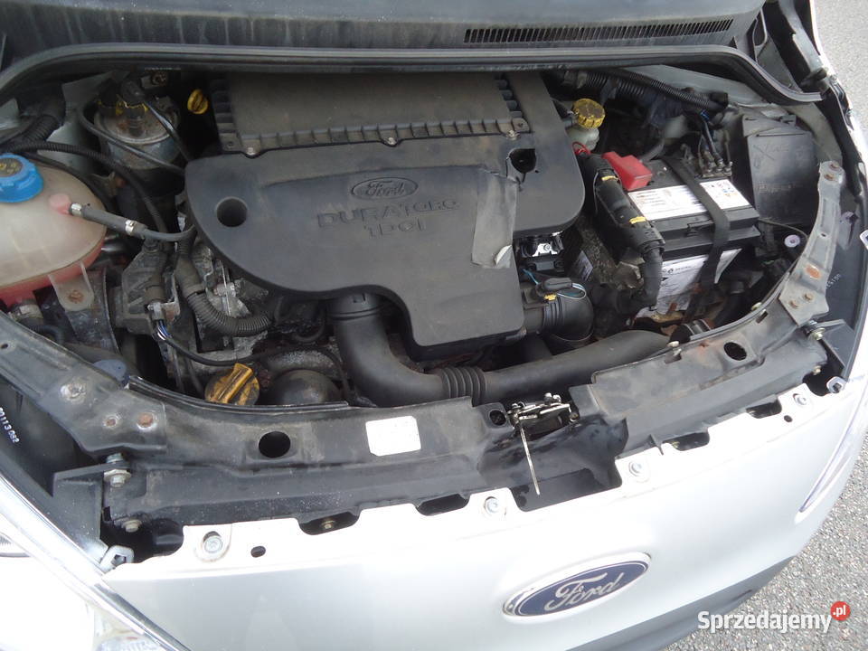 FORD KA 12TDCI KLIMATYZACJA SUPER STAN Nowy Dwór Gdański
