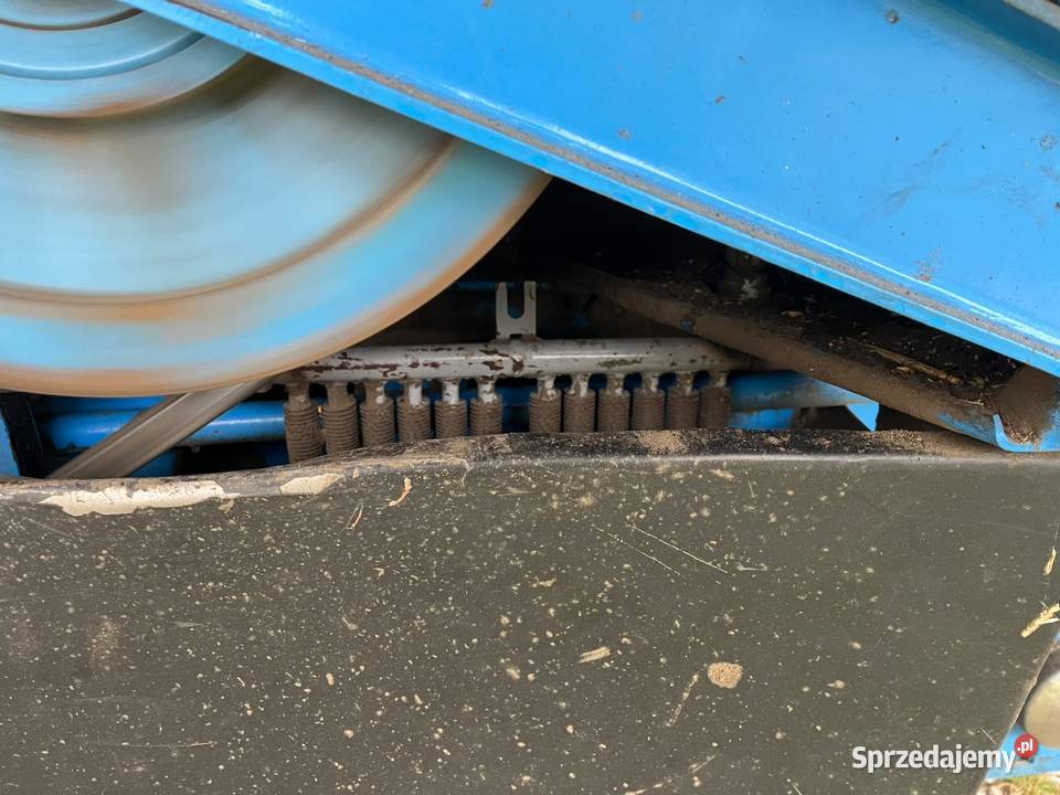 Bizon rekord Klima 99 Budziska
