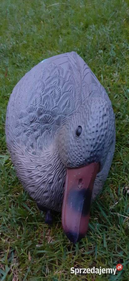 Replika kaczkipływająca z stabilizacjąnowana kujawsko-pomorskie