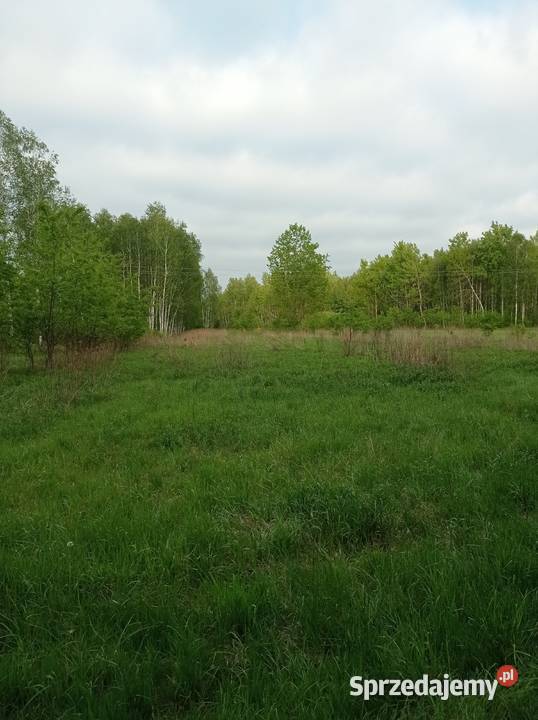 Sprzedam działkę rolną 30 arów Sarzyna