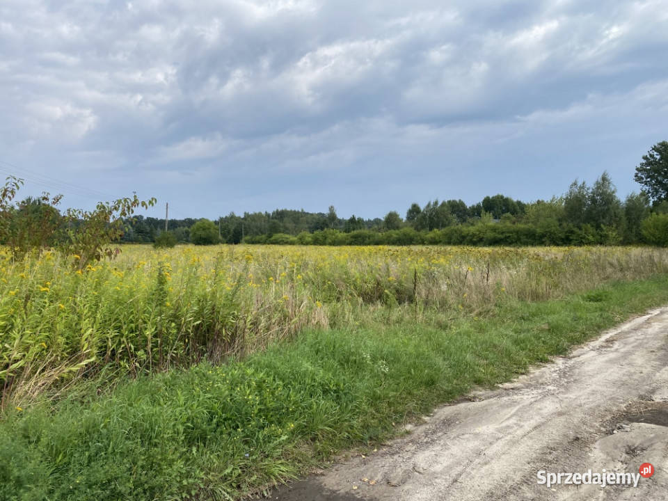 Działka inwestycyjna pod usługi 18 centrum