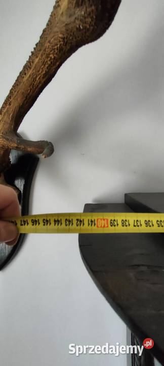 Komplet mebli salonowych dębowych okres Mińsk Mazowiecki