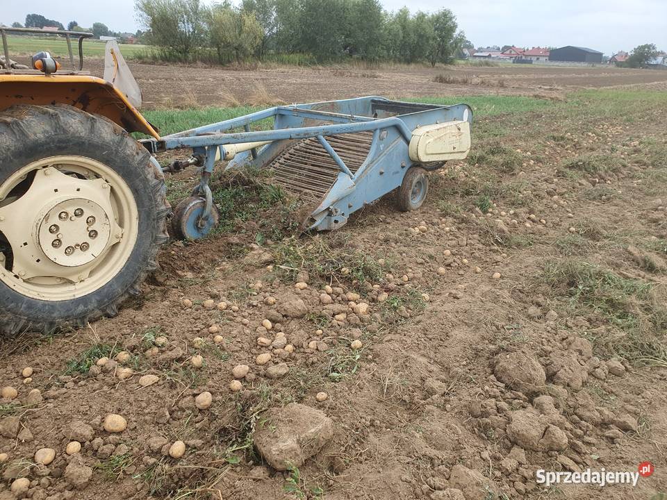 Sprzedam kopaczkę elewatorową Mielec sprzedam
