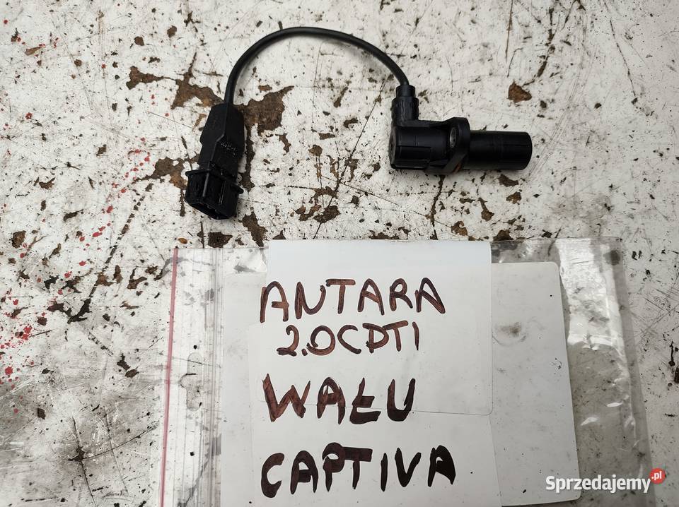 OPEL ANTARA CAPTIVA 20CDTI 150 czujnik położenia osobowe świętokrzyskie Kielce