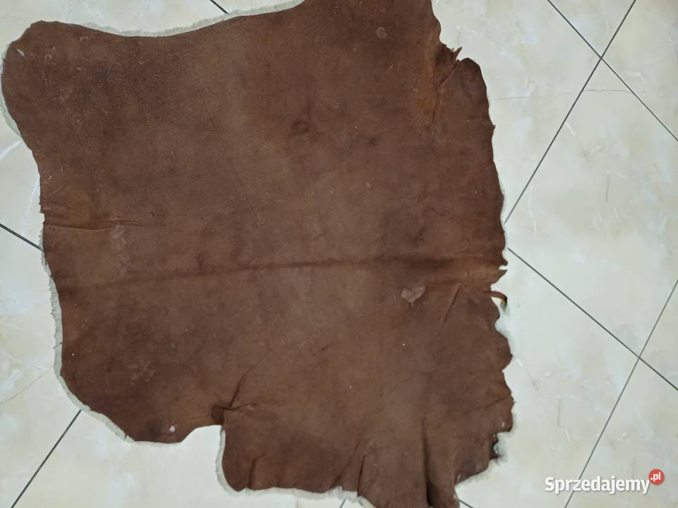 Skóra owcza różne wymiary krótko strzyżone Siedlce