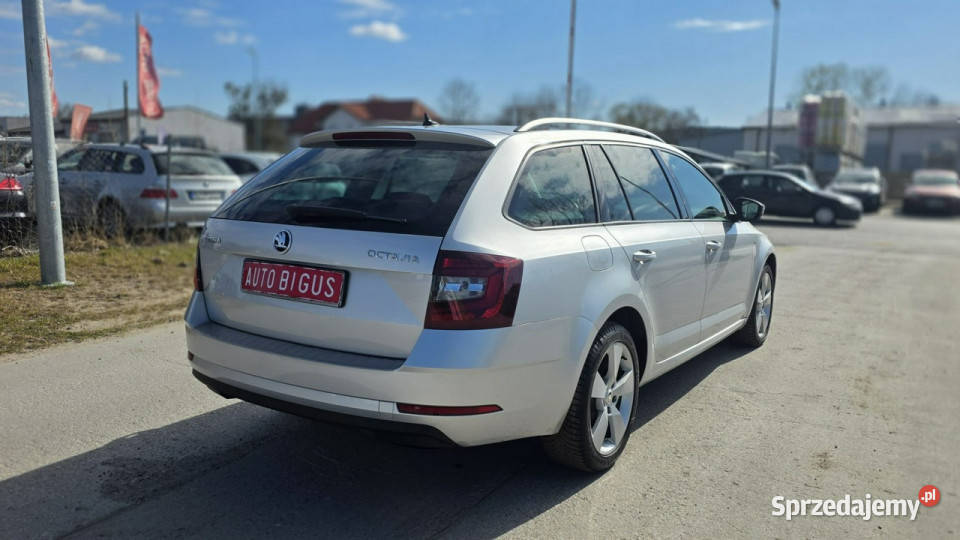 koda Octavia Dsg Duża Navi Bixenon III 2013 Lębork