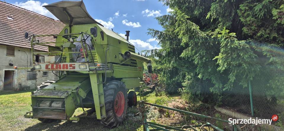 Claas senator Sieczkarnia-rozdrabniacz Nowogrodziec