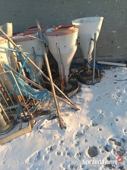 Automaty paszowe Kaliszany sprzedam