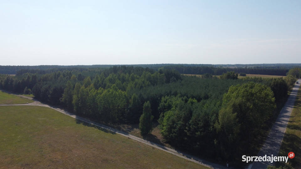 Dom na dużej działce w Świesielicach gm 180m2 Świesielice