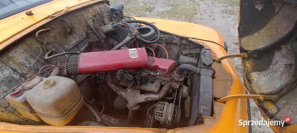 Volvo PV544 1962r 18l do renowacji