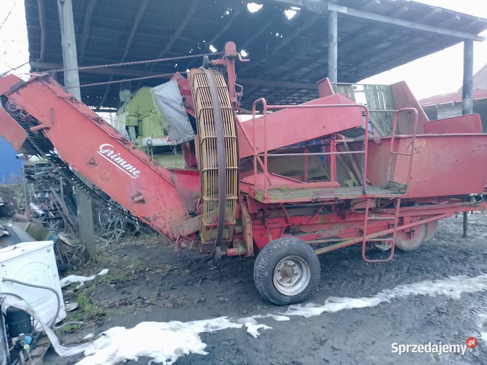 Kombajn Grimme do ziemniaków ziemniaczany nie Bytom Odrzański