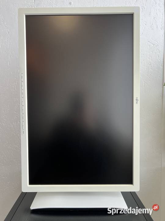 Monitor 24 tani i 1920 x 1200 duża ilość Fujitsu Monitory i projektory Brzesko