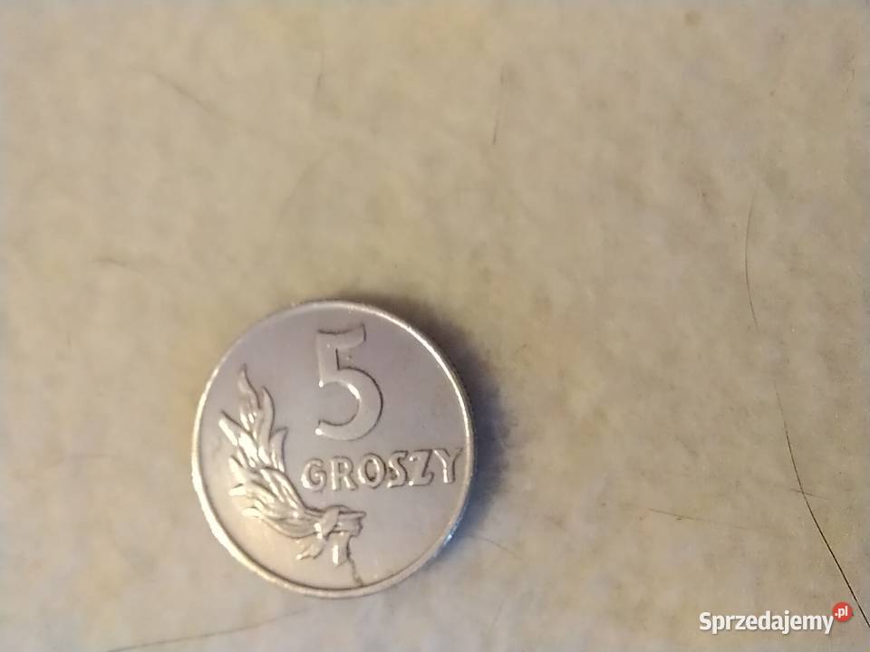 5 groszy aluminium 1949 bzm Legionowo