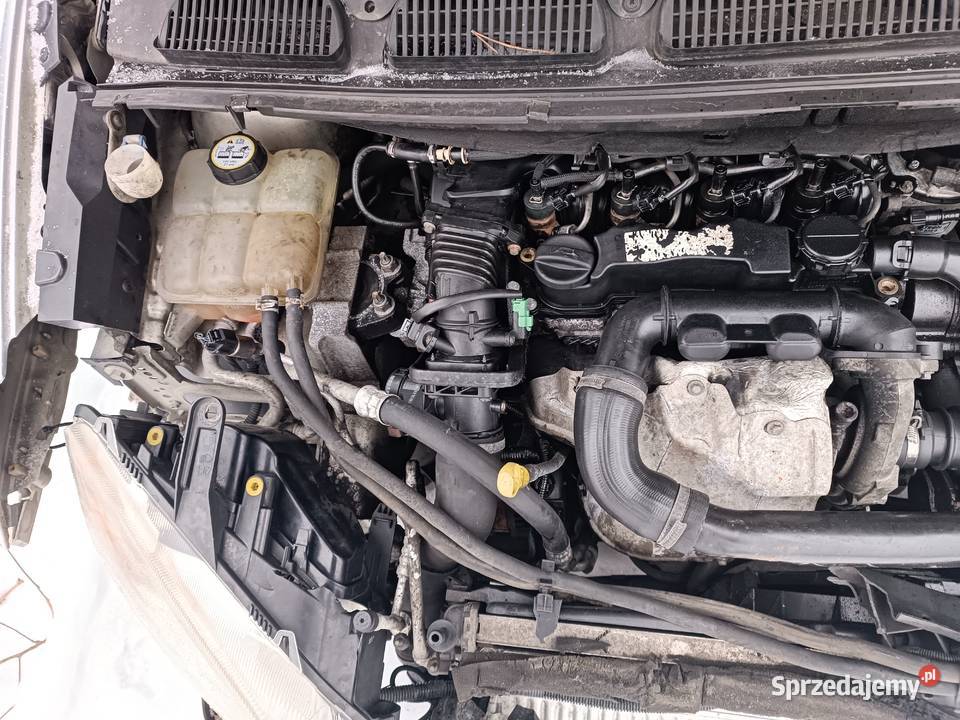 FORD C 16TDCI na graty Zarejestrowany w Polsce Osieck