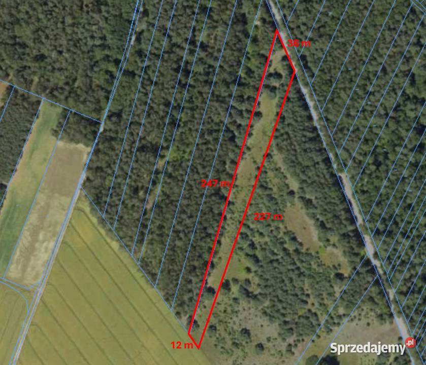 Sprzedam działkę rolną lesie 3900 m2 Talczyn