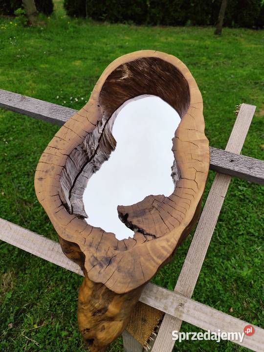 Lustro w pniu drzewa