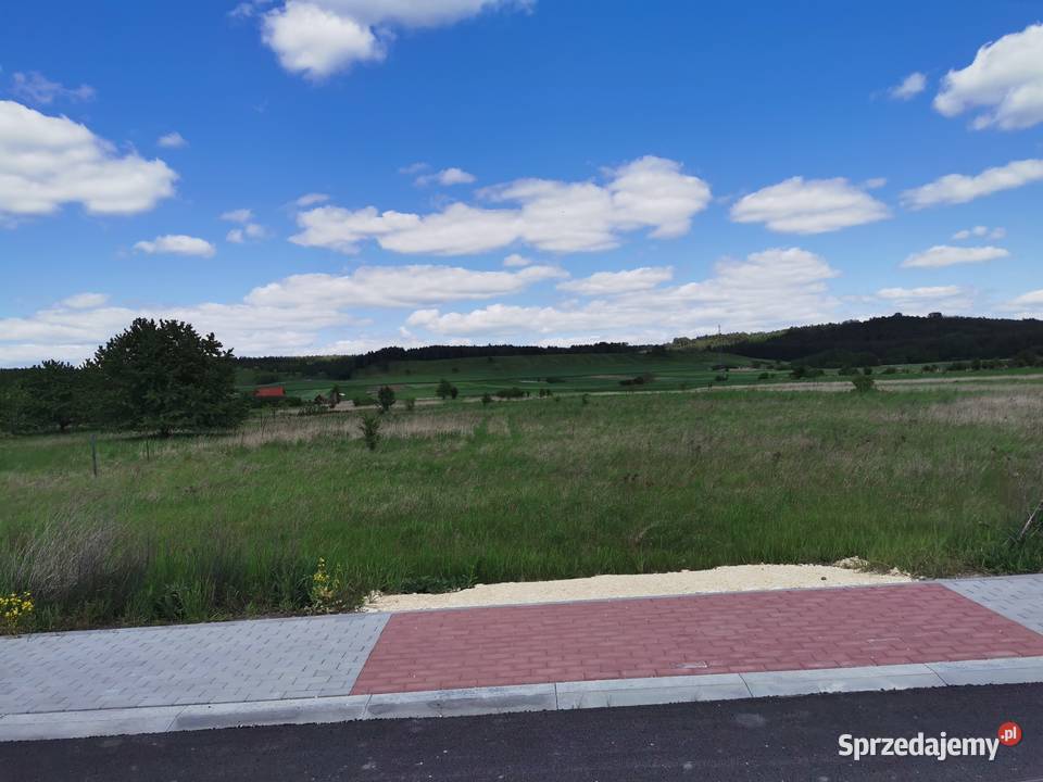 Syndyk sprzeda nieruchomość w Pińczowie Pińczów