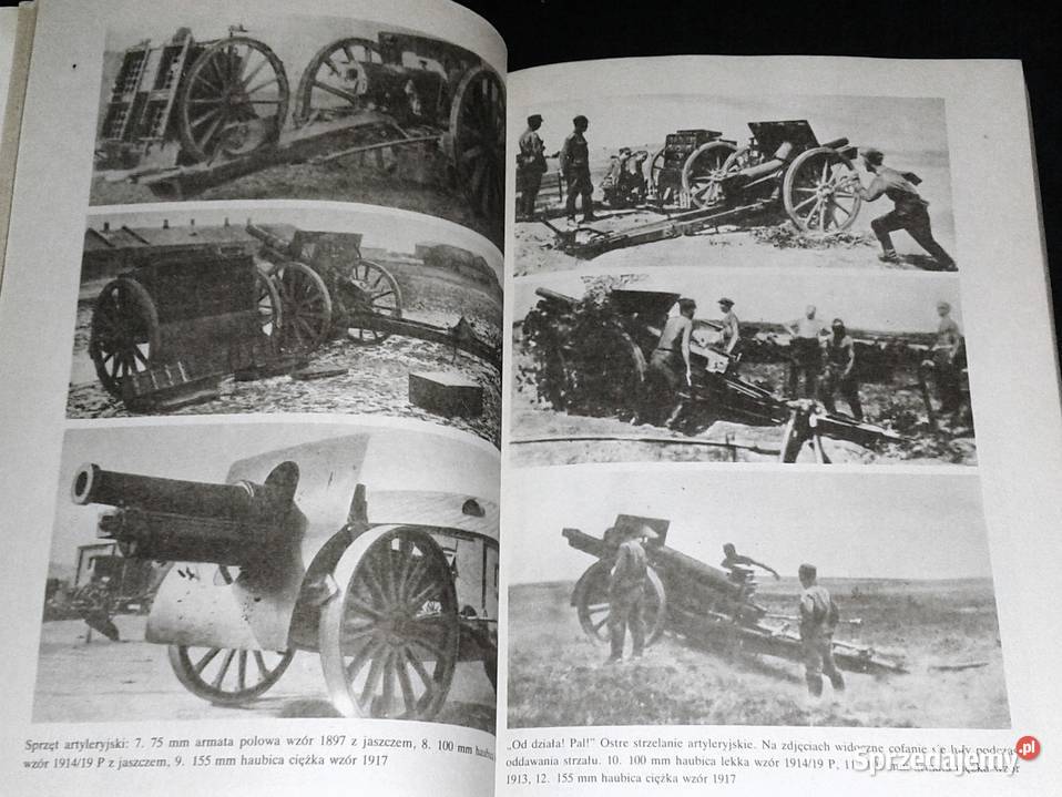 Oficer do zleceń Władysław Roman