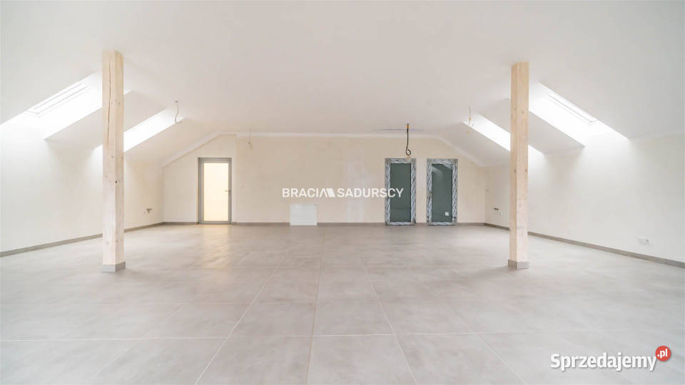 Lokal Kraków 100m2 100m2