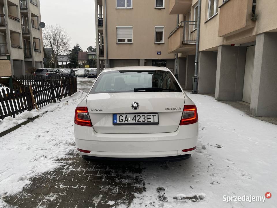 Skoda Octavia 16 TDI osoba prywatna Samochody osobowe