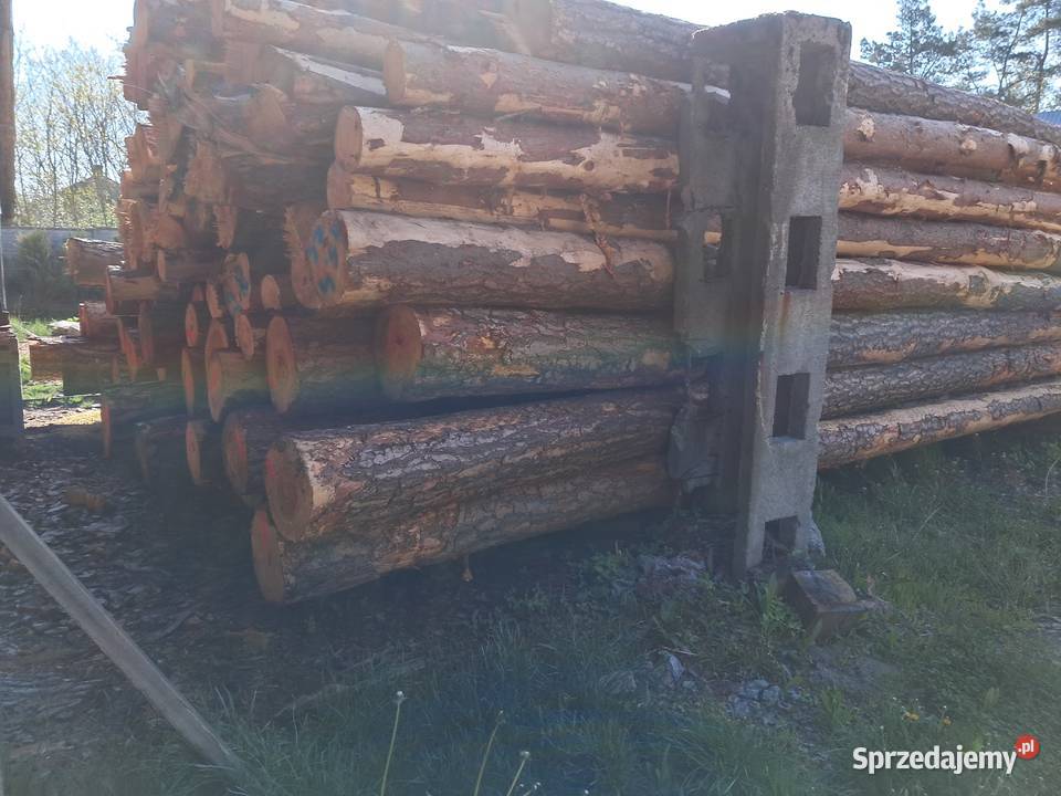 Fumigowana tarcica deska kantówka fitosanitarna Współpraca biznesowa lubelskie Dębczyna