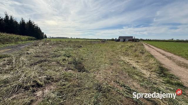 sprzedaży działka 6526 Witkowo dział bud 8 AR