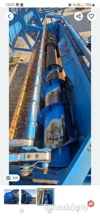 Bizon rekord z 58 milenium Konin