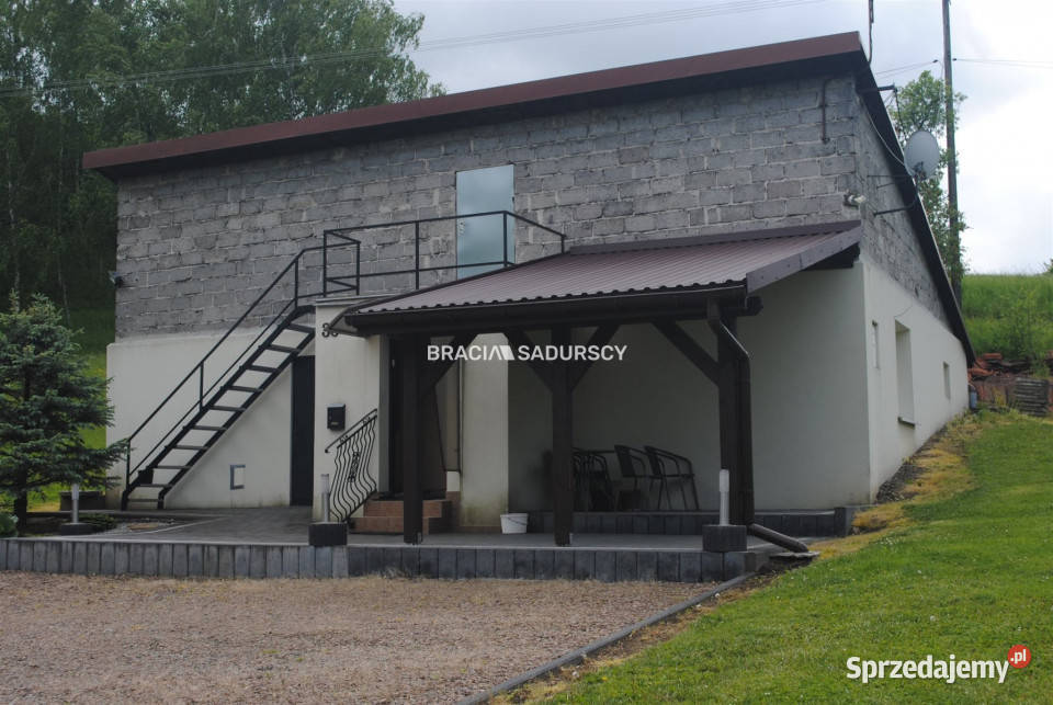 Działka 19900m2 Łazany 19900m2 Sprzedaż małopolskie