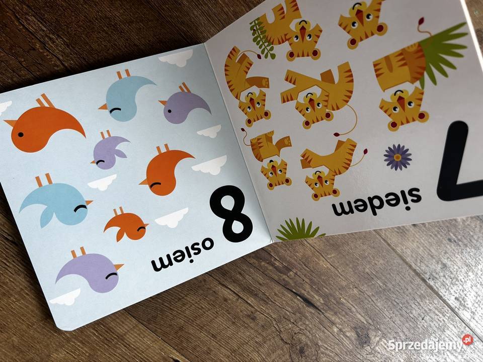 Twarda książeczka z liczbami Fisher książeczka Wyszków