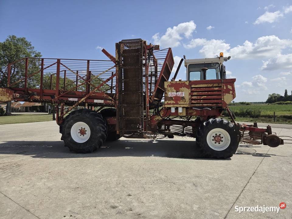 Dewulf R6000 Do ziemniaków i warzyw