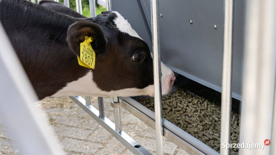 Pojemnik na koncentrat do domków XL CalfOTel opolskie Opole