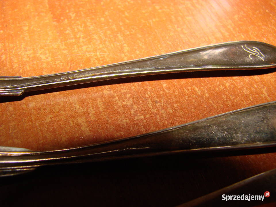 mały widelczyi plater Pruszcz Gdański