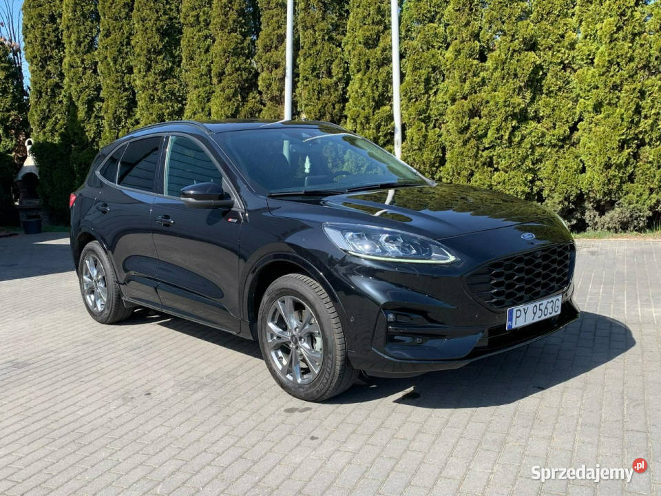 Ford Kuga 25 Plug In Hybrid STLine Bogata III 40000km Baranowo sprzedam