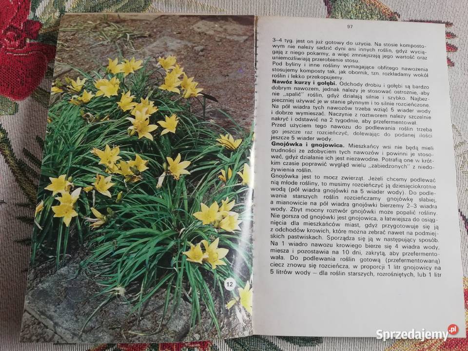 Kwiaty w ogródku Izabela Kiljańska Kraków