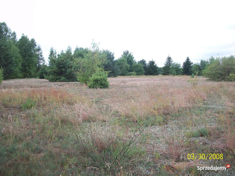 działka rekreacyjna rzeką Wkrą 1800 m2 Prusocin sprzedam