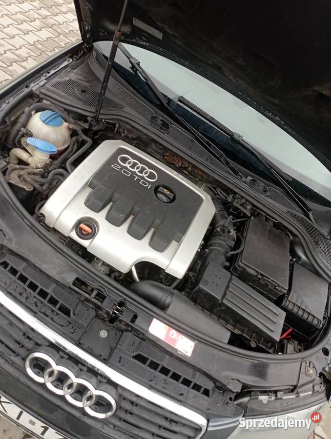 Audi A3 8P 20TDI 140 A3 Bodzentyn