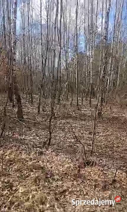 Sprzedam działkę Ostrów