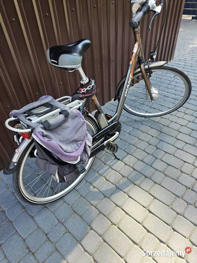 Rower elektryczny Giant Twist Dwie baterie Pojazdy elektryczne Czarna Woda sprzedam